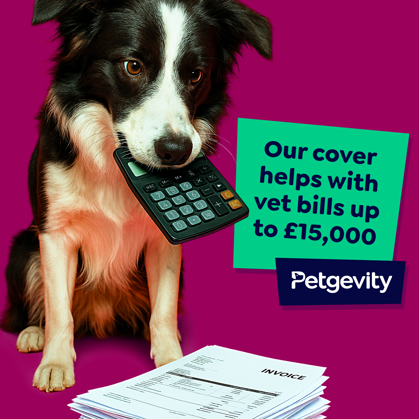 Petgevity UK Facebook ad