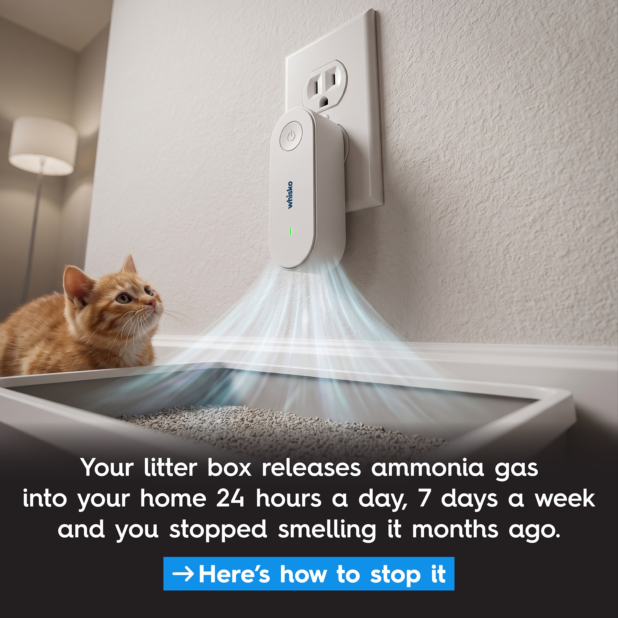 Pet Studio Facebook ad