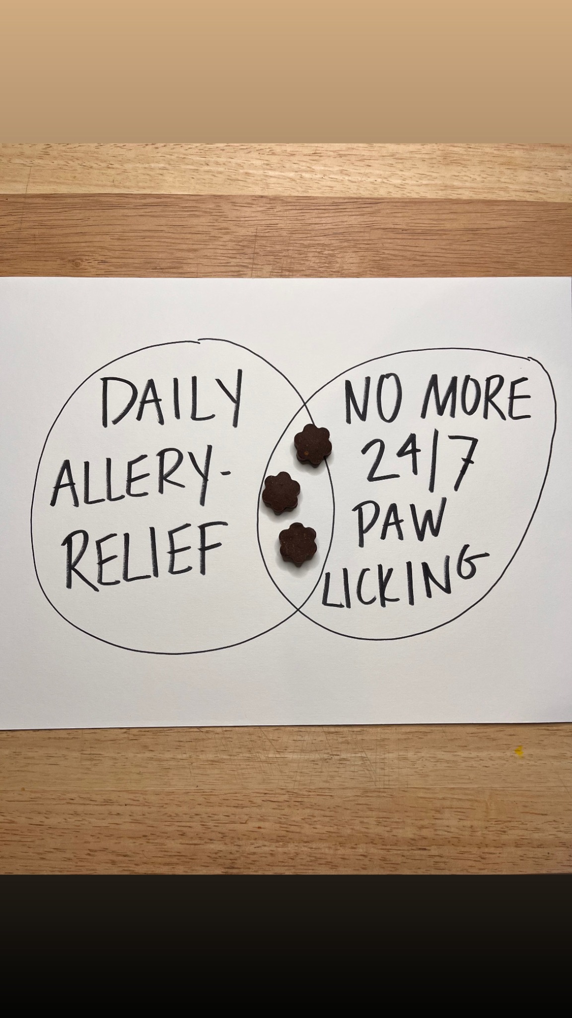 Dog is Human Facebook ad