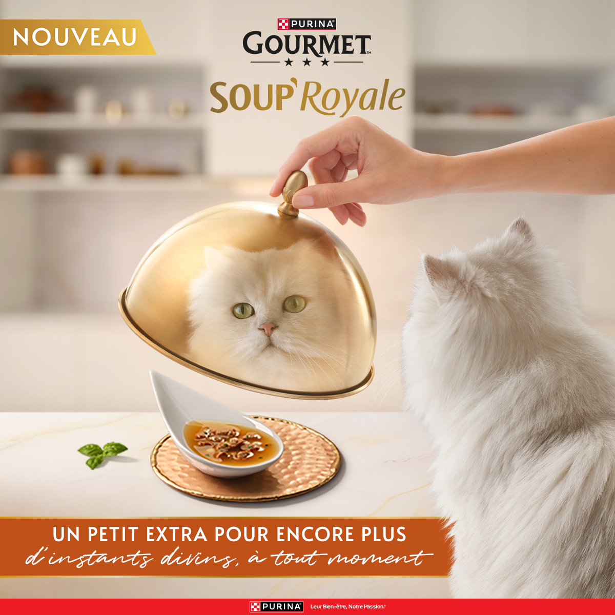 Purina France Facebook ad