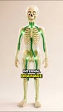 Health Digest Facebook ad: One capsule. One mineral. Lighter by morning.