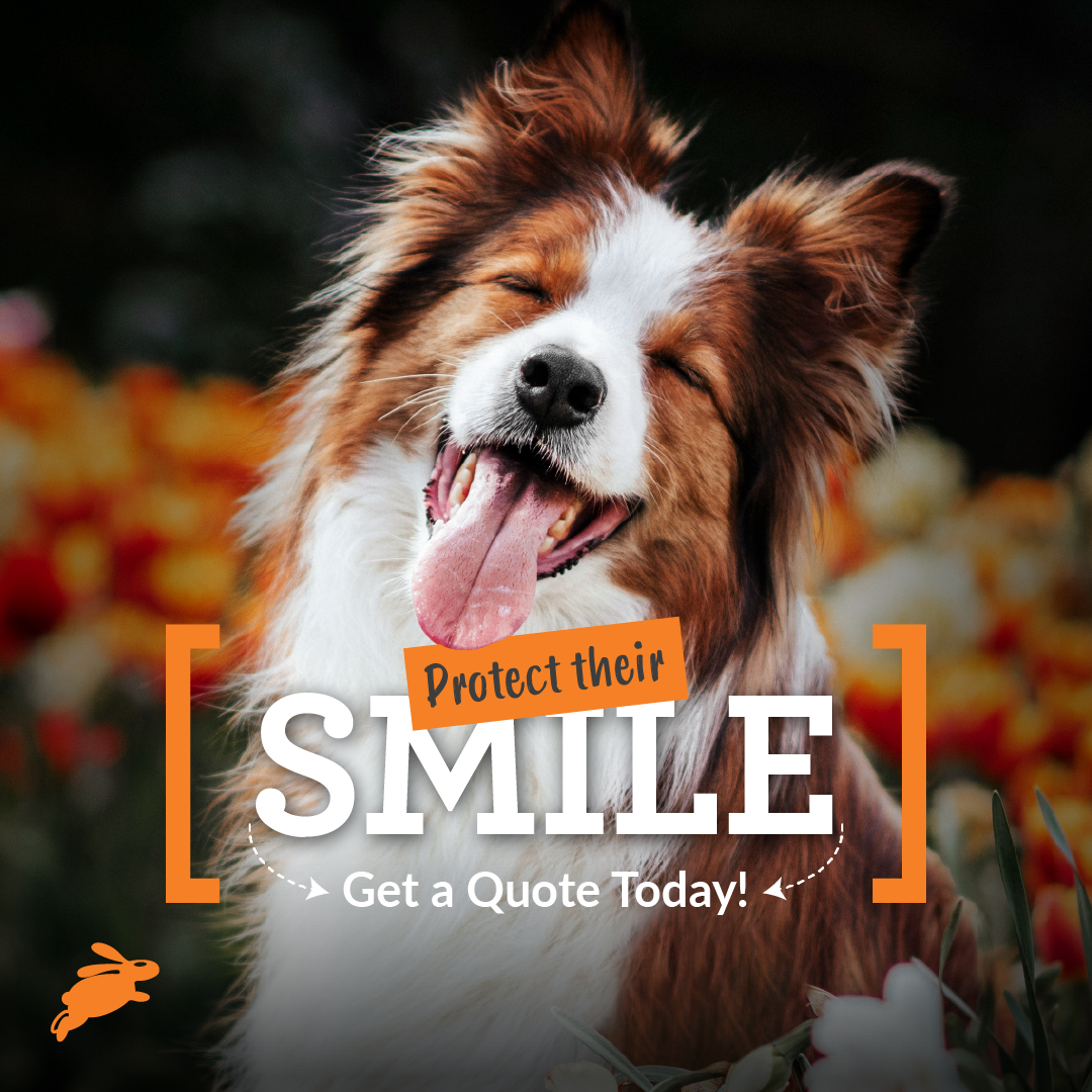 PD Insurance NZ Facebook ad