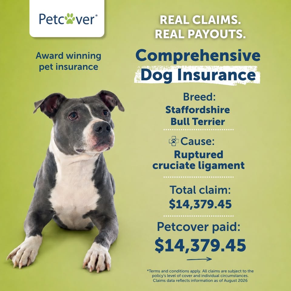 Petcover New Zealand Facebook ad