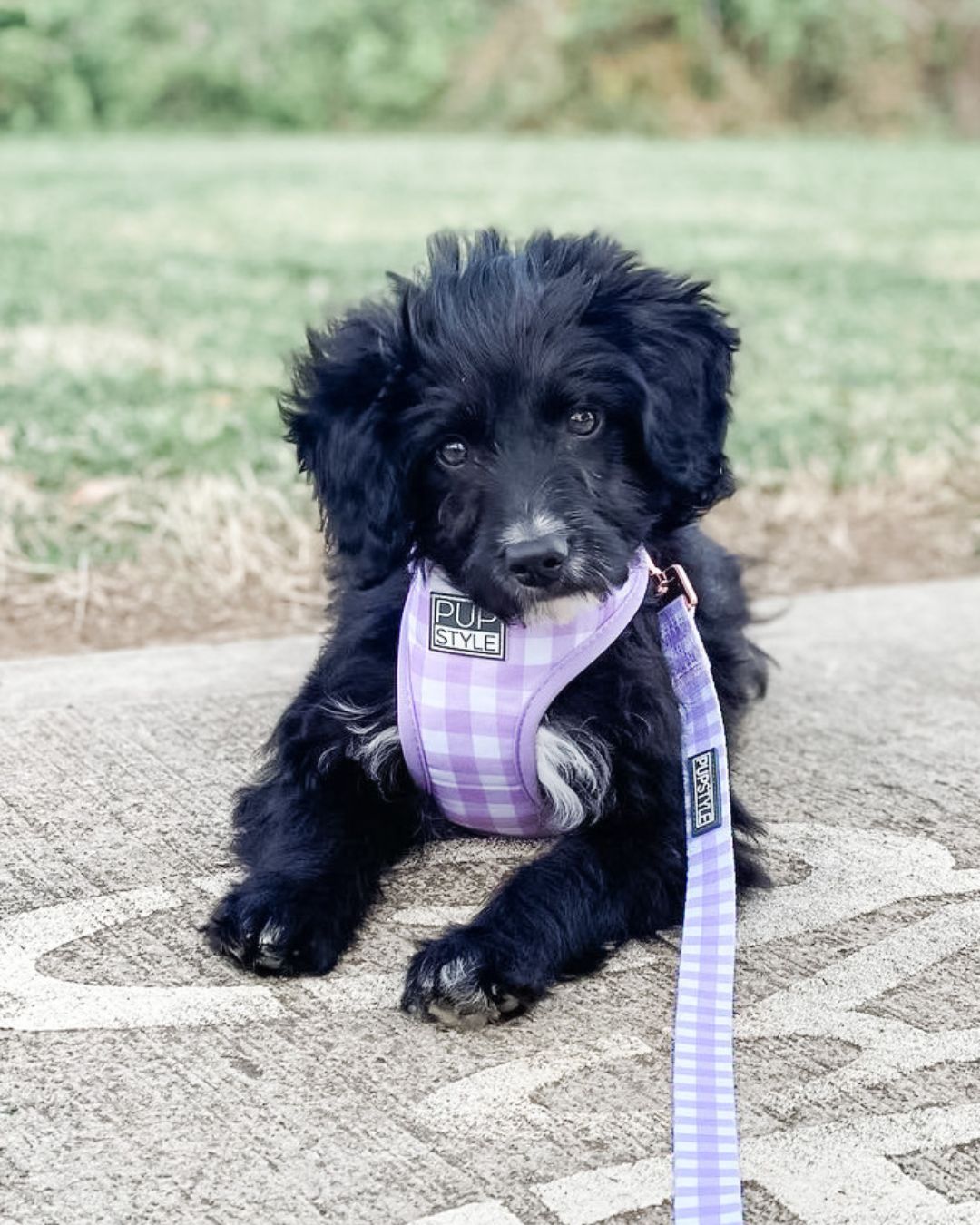 PUPSTYLE Store Facebook ad