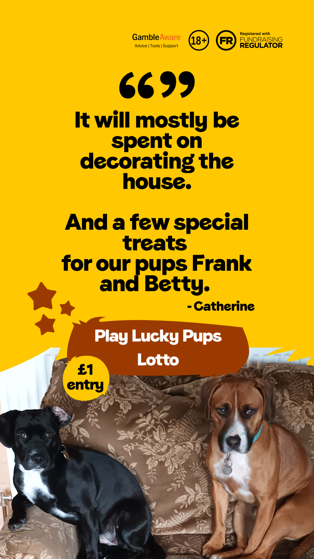 Dogs Trust Facebook ad