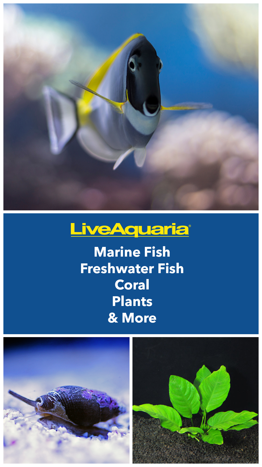 LiveAquaria.com Facebook ad