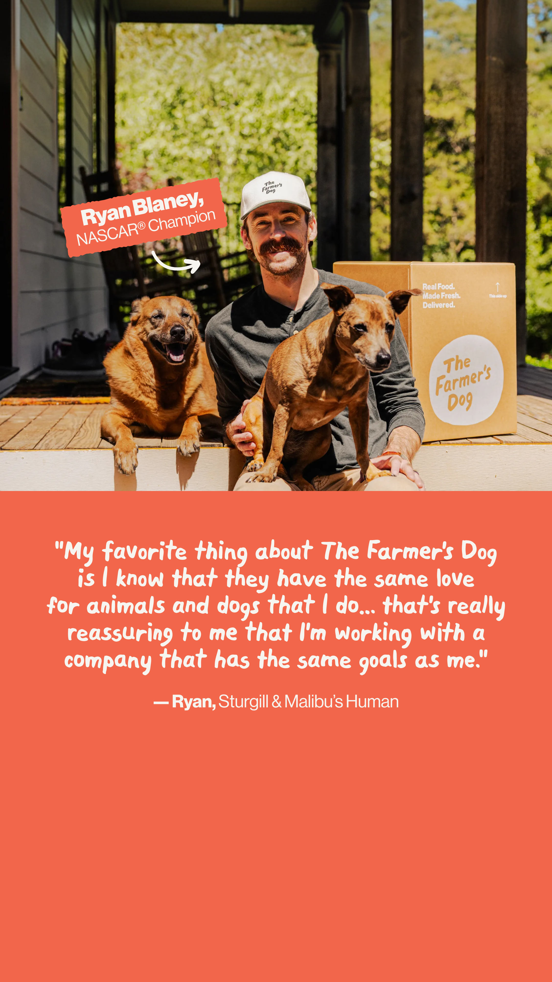 The Farmer's Dog Facebook ad