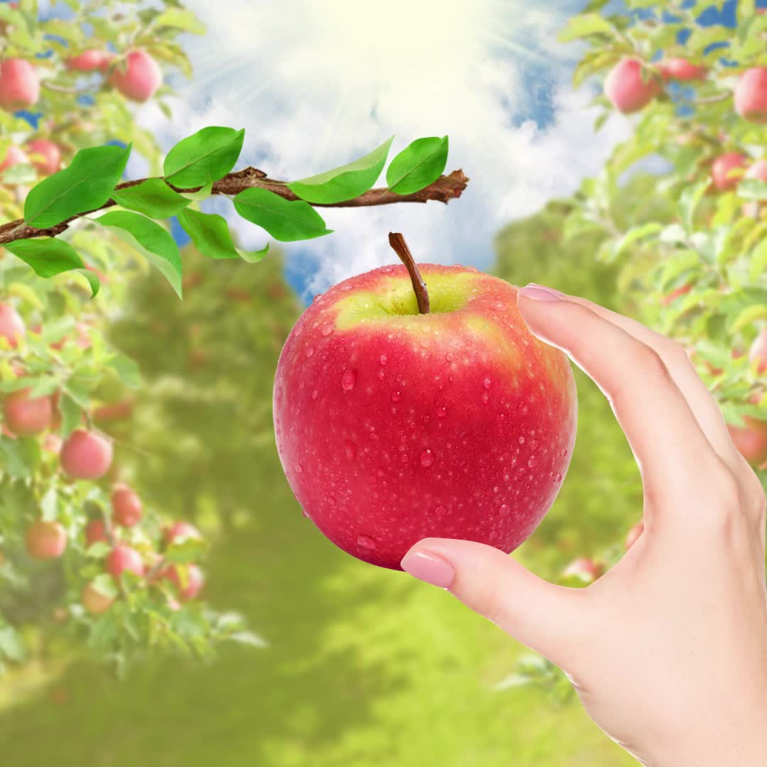 Pink Lady Facebook ad