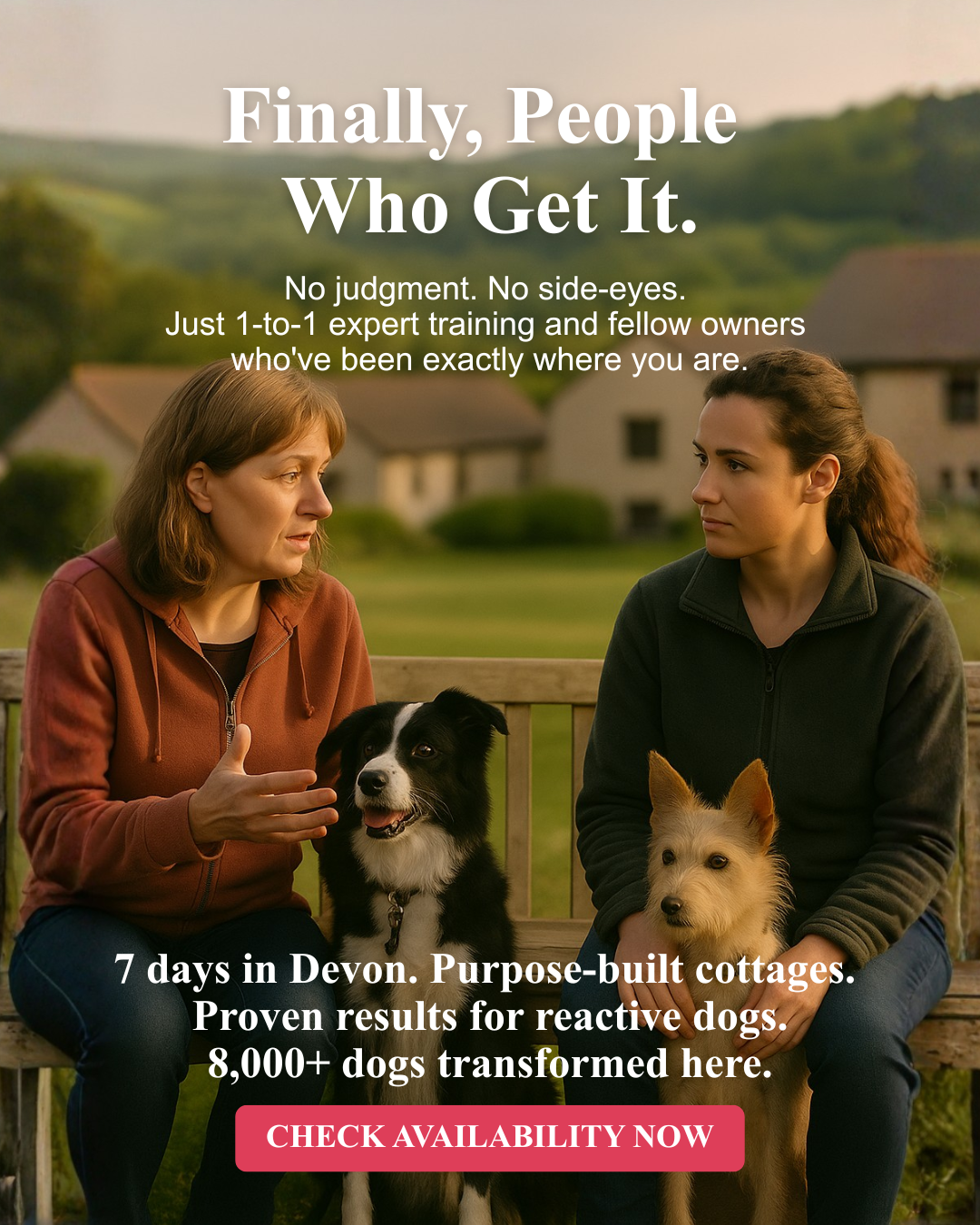 absoluteDOGS Facebook ad