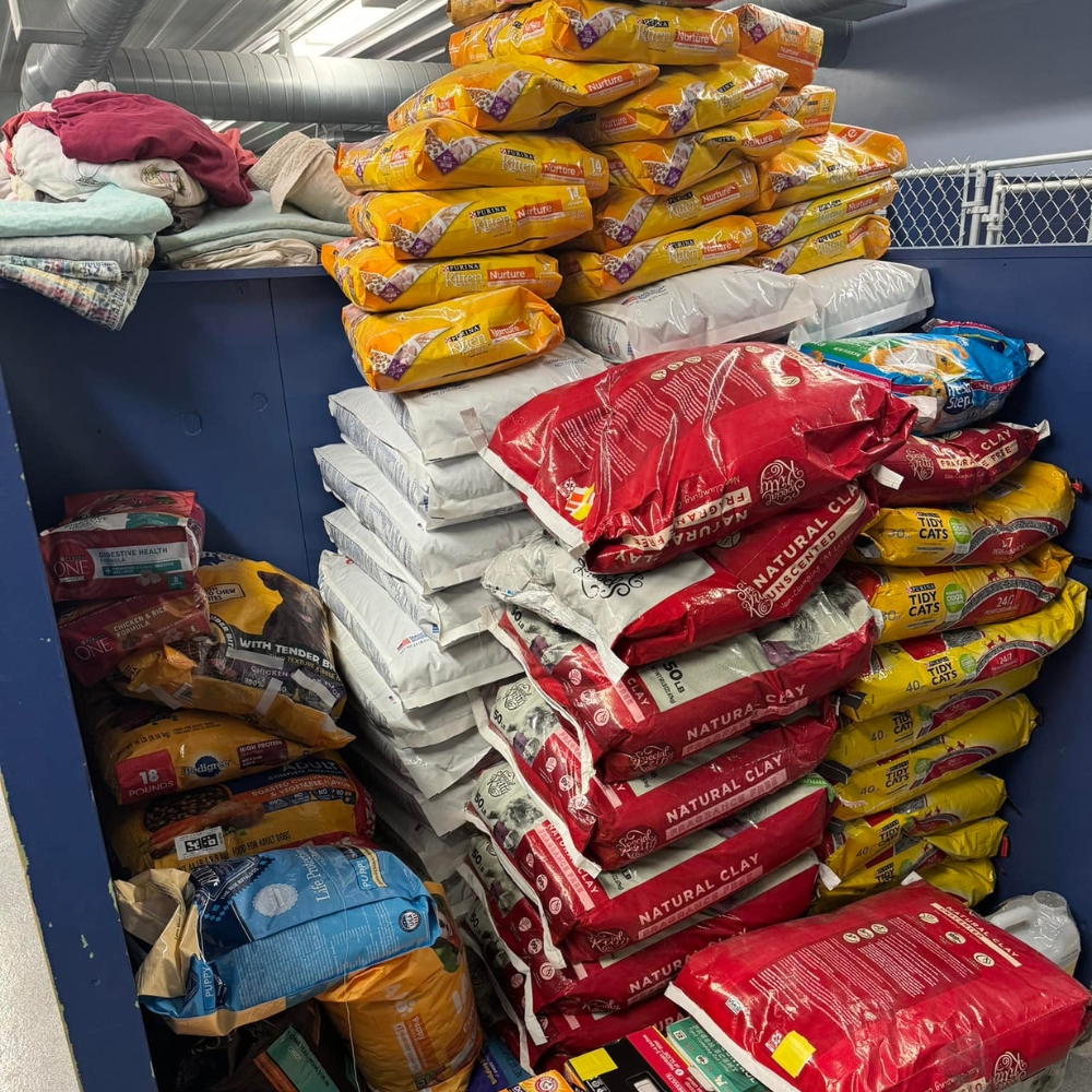 Pet Hub USA Facebook ad: Where to Find Clearance Pet Supplies