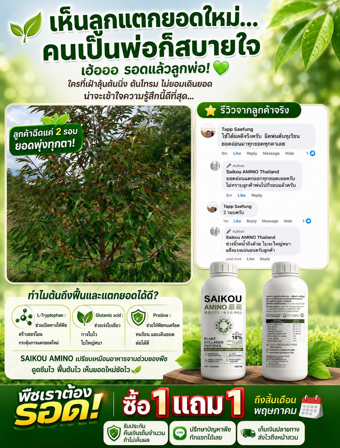 Saikou AMINO Thailand Facebook ad: เห็นลูกแตกยอดใหม่. คนเป็นพ่อก็สบายใจ เฮ้อออ รอดแล้วลูกพ่อ!