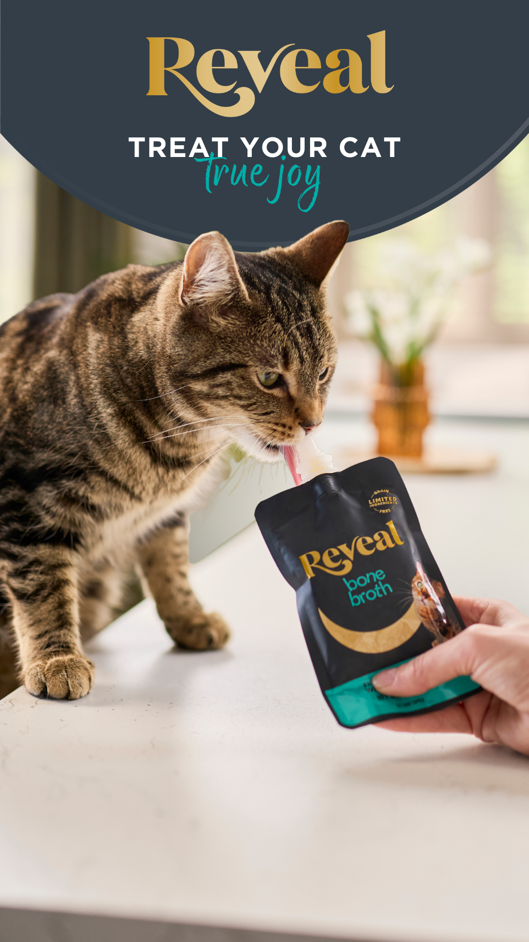 Reveal Pet food Facebook ad