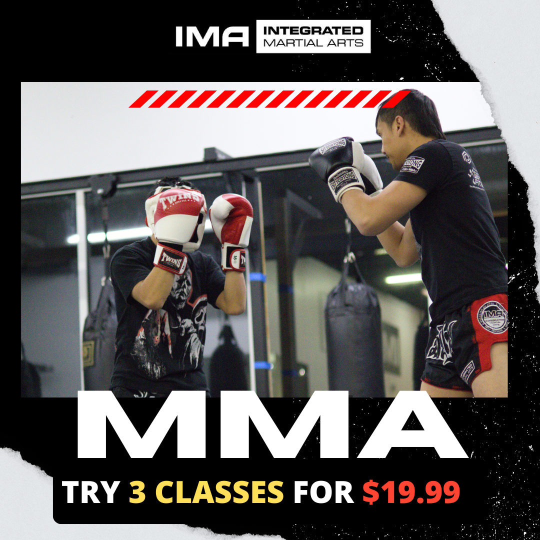 Integrated Martial Arts Westborough Facebook ad