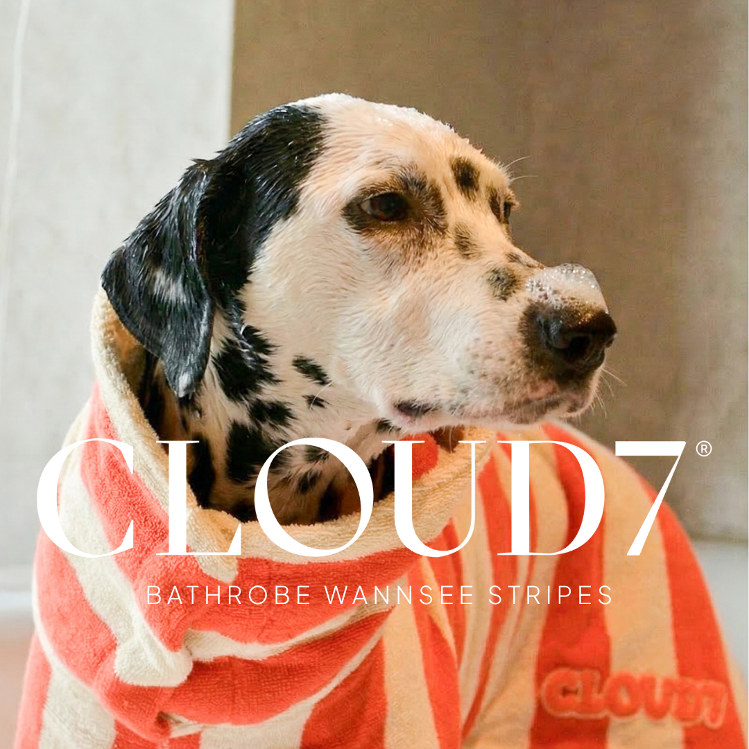 Cloud7 Facebook ad