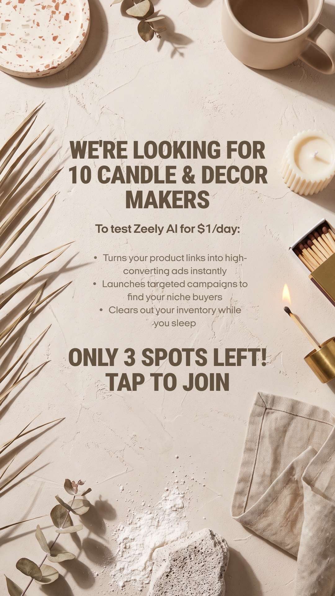 Zeely Facebook ad
