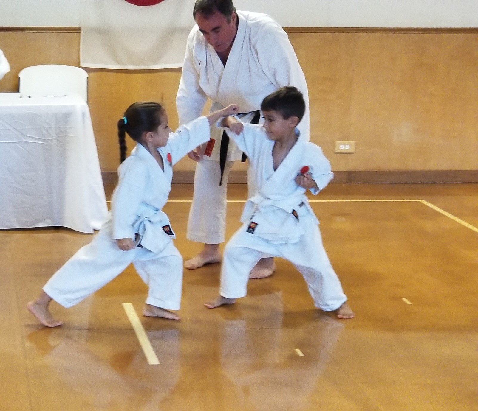 Louisiana Karate Association Facebook ad