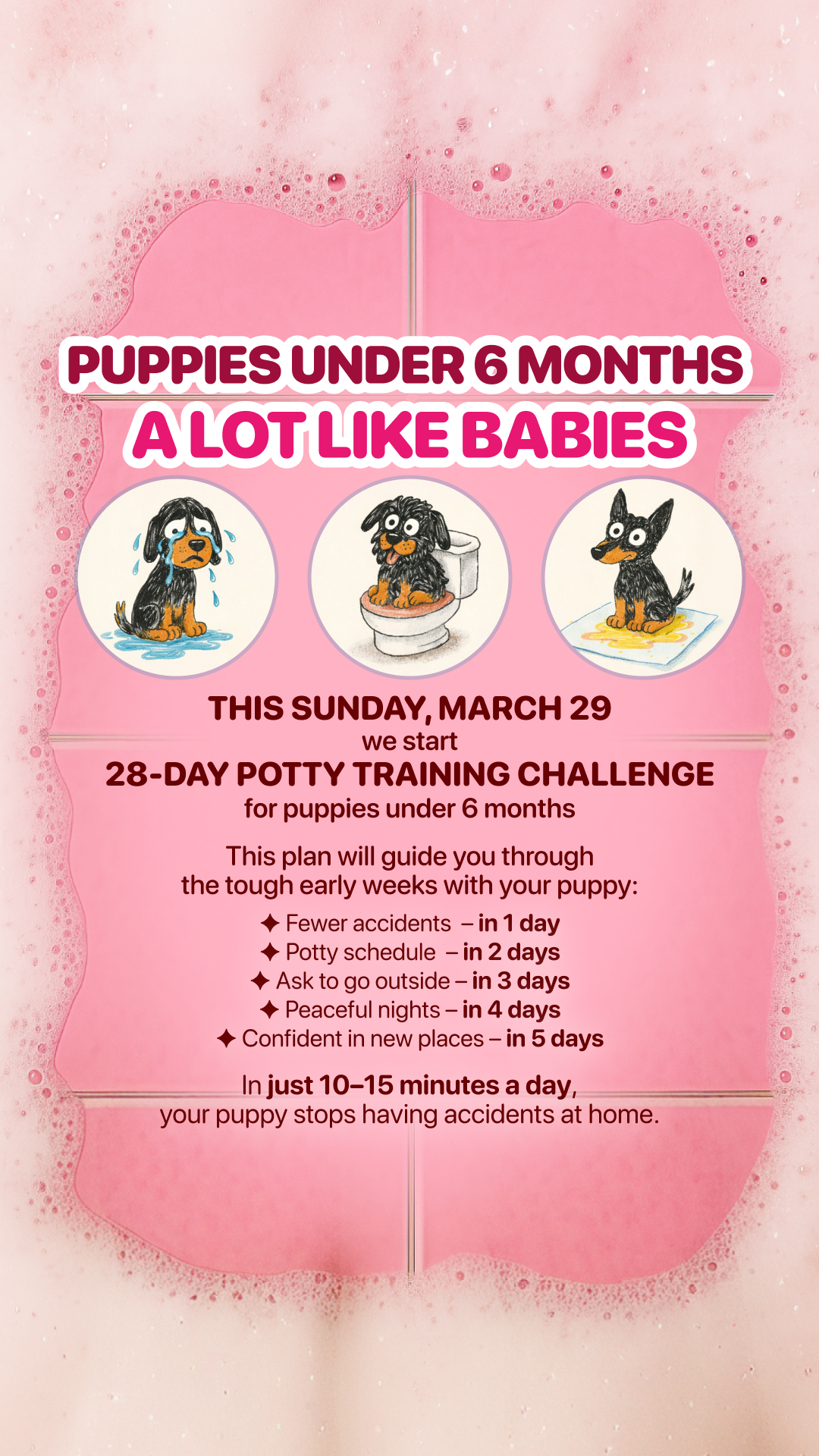 Woofz - Puppy Training Facebook ad