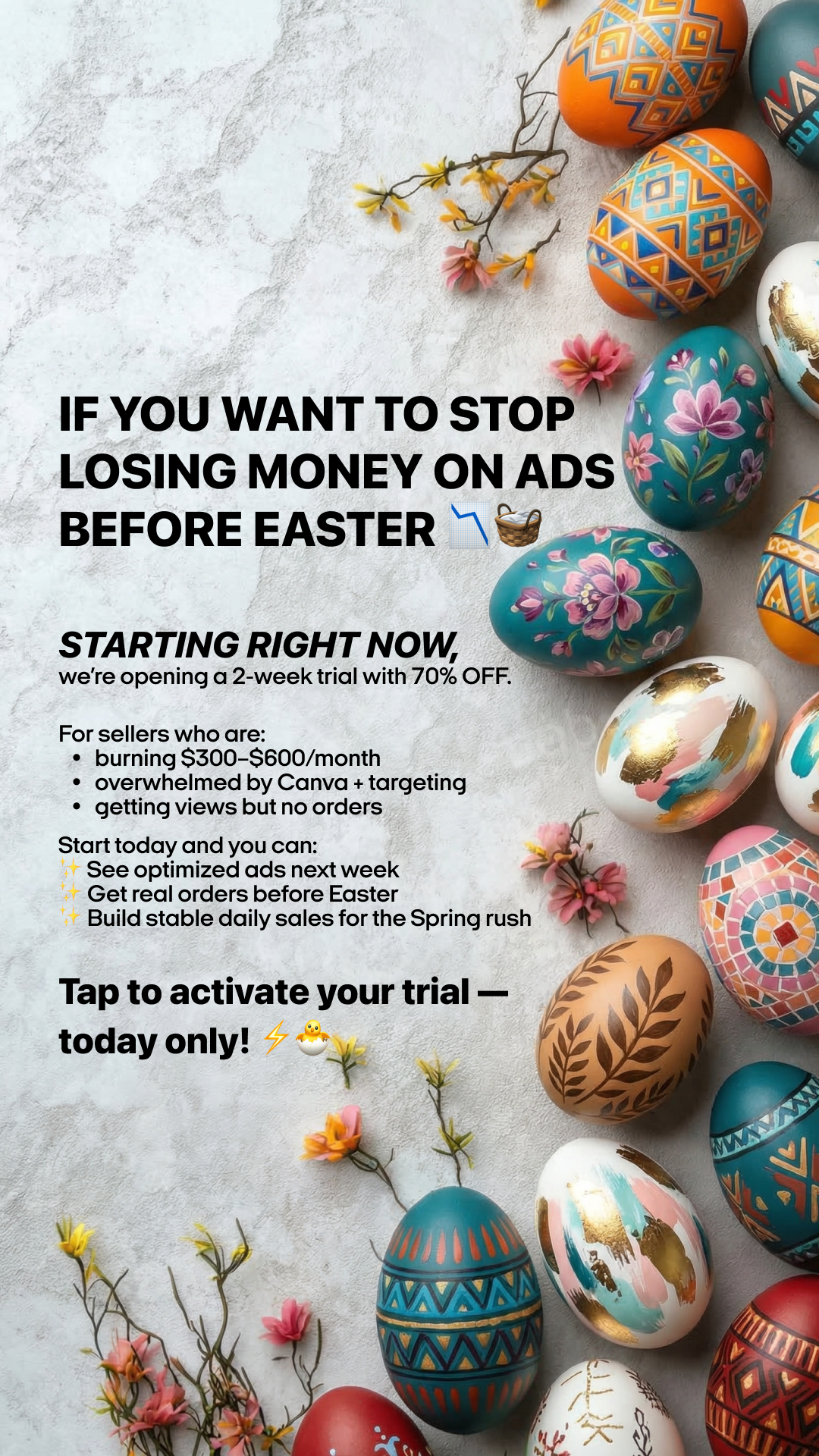 Zeely Facebook ad