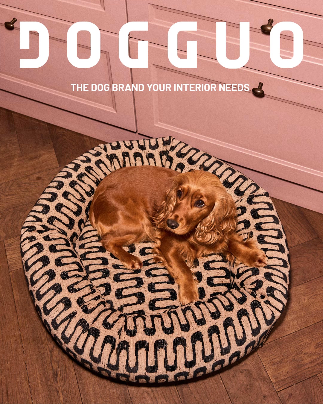 Dogguo Facebook ad: Premium Quality
