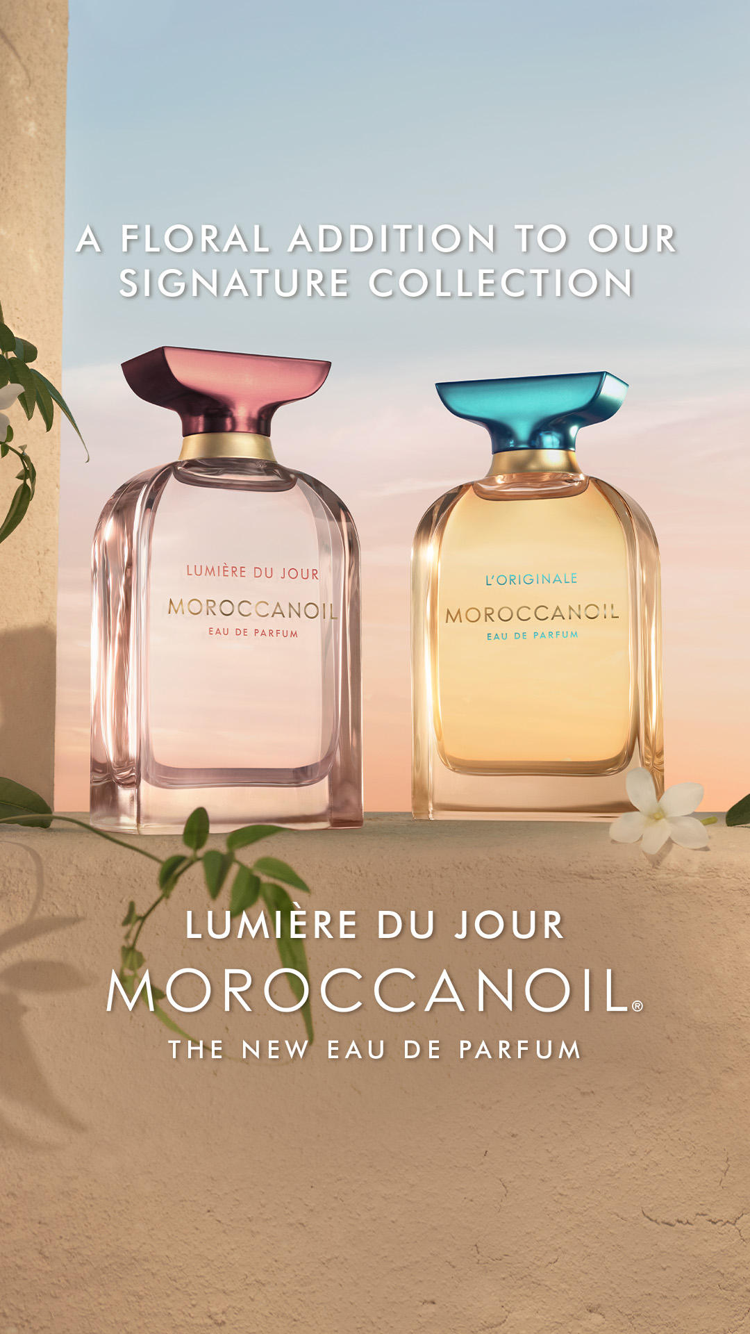 Moroccanoil Facebook ad