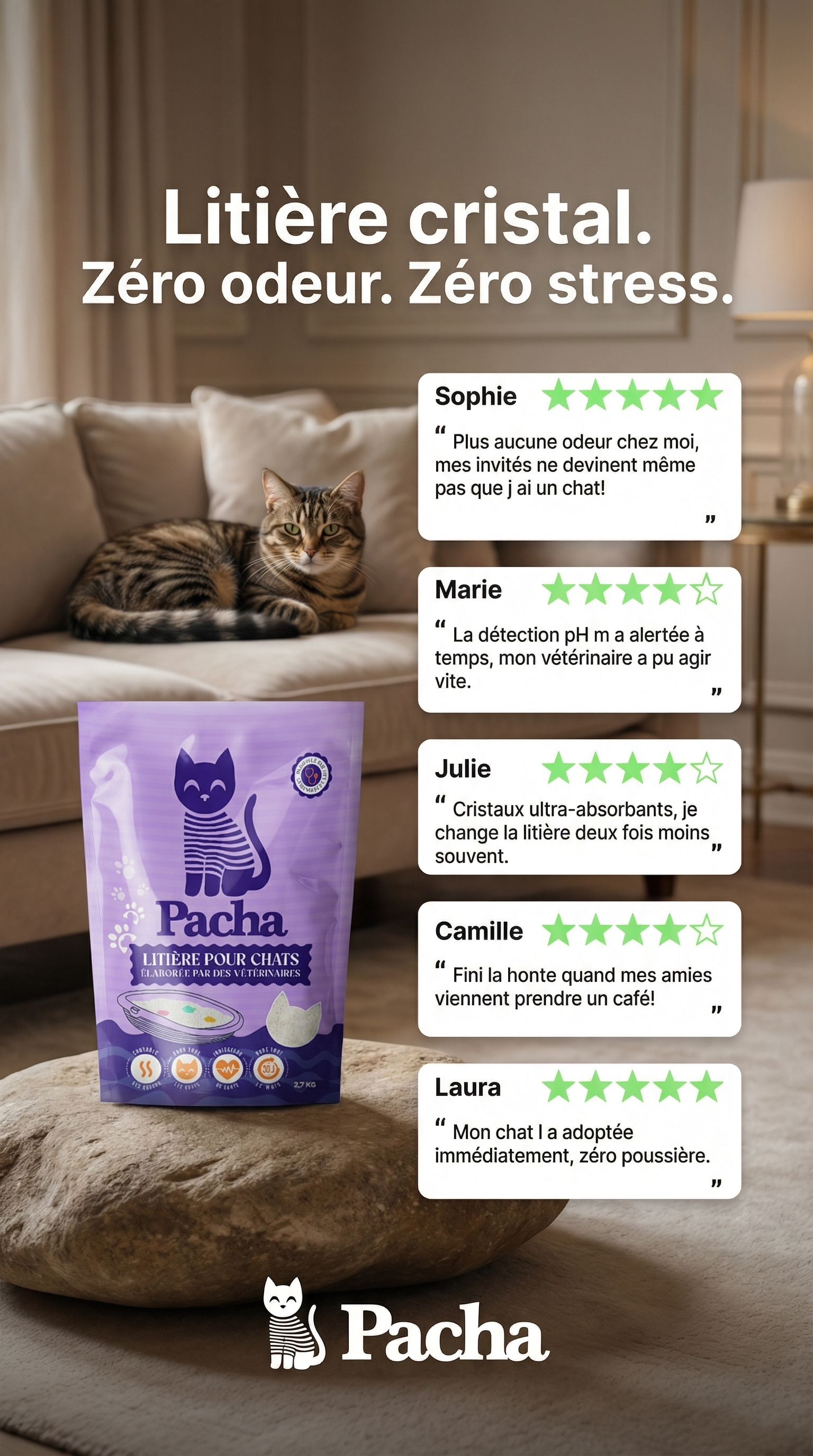 Pacha Facebook ad