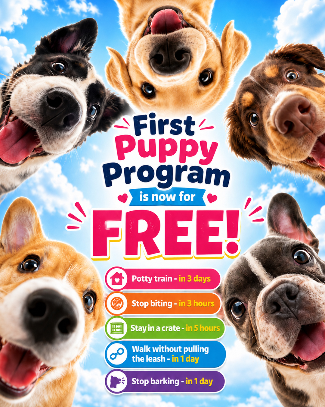 Ben Your Puppy Trainer Facebook ad