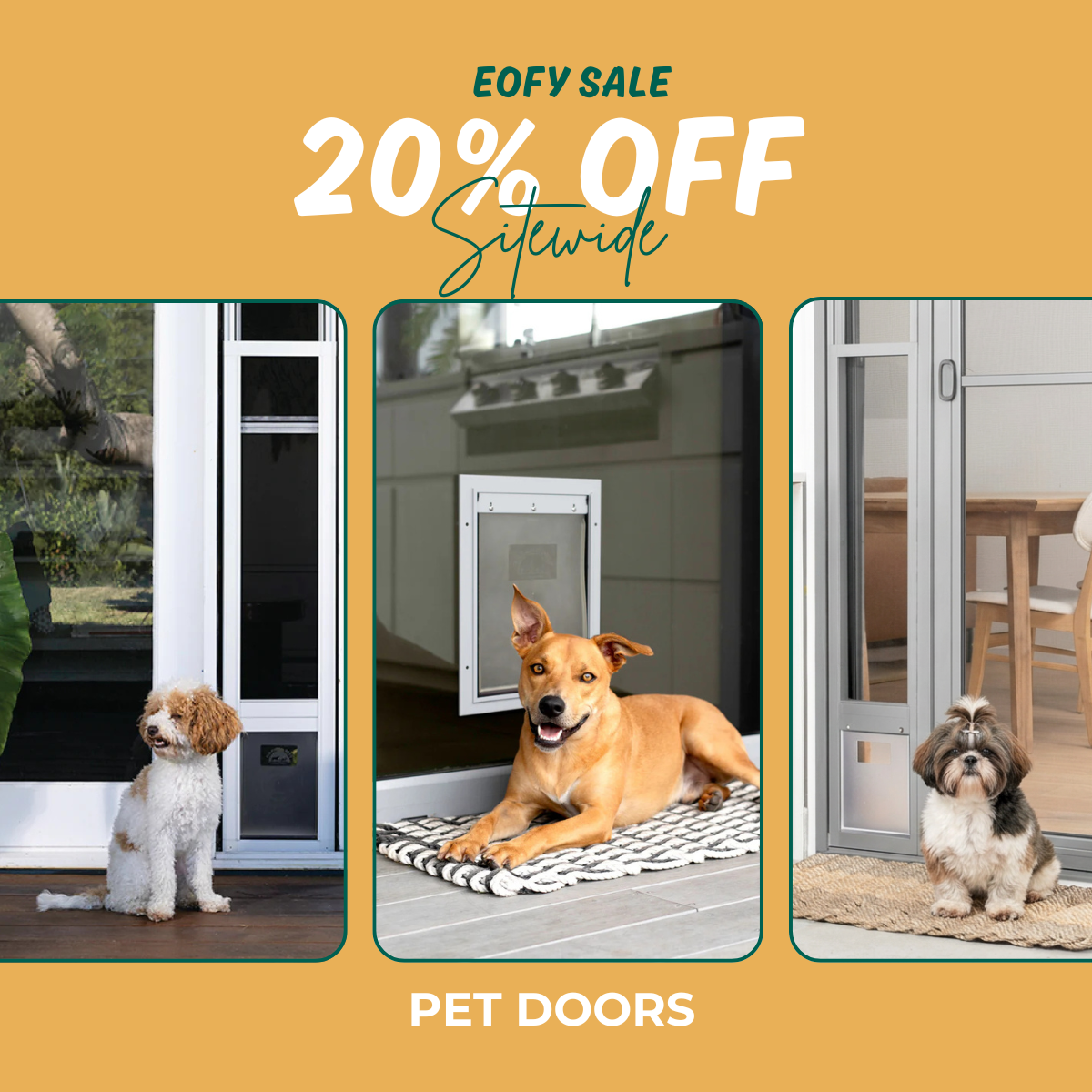 Hakuna Pets Facebook ad