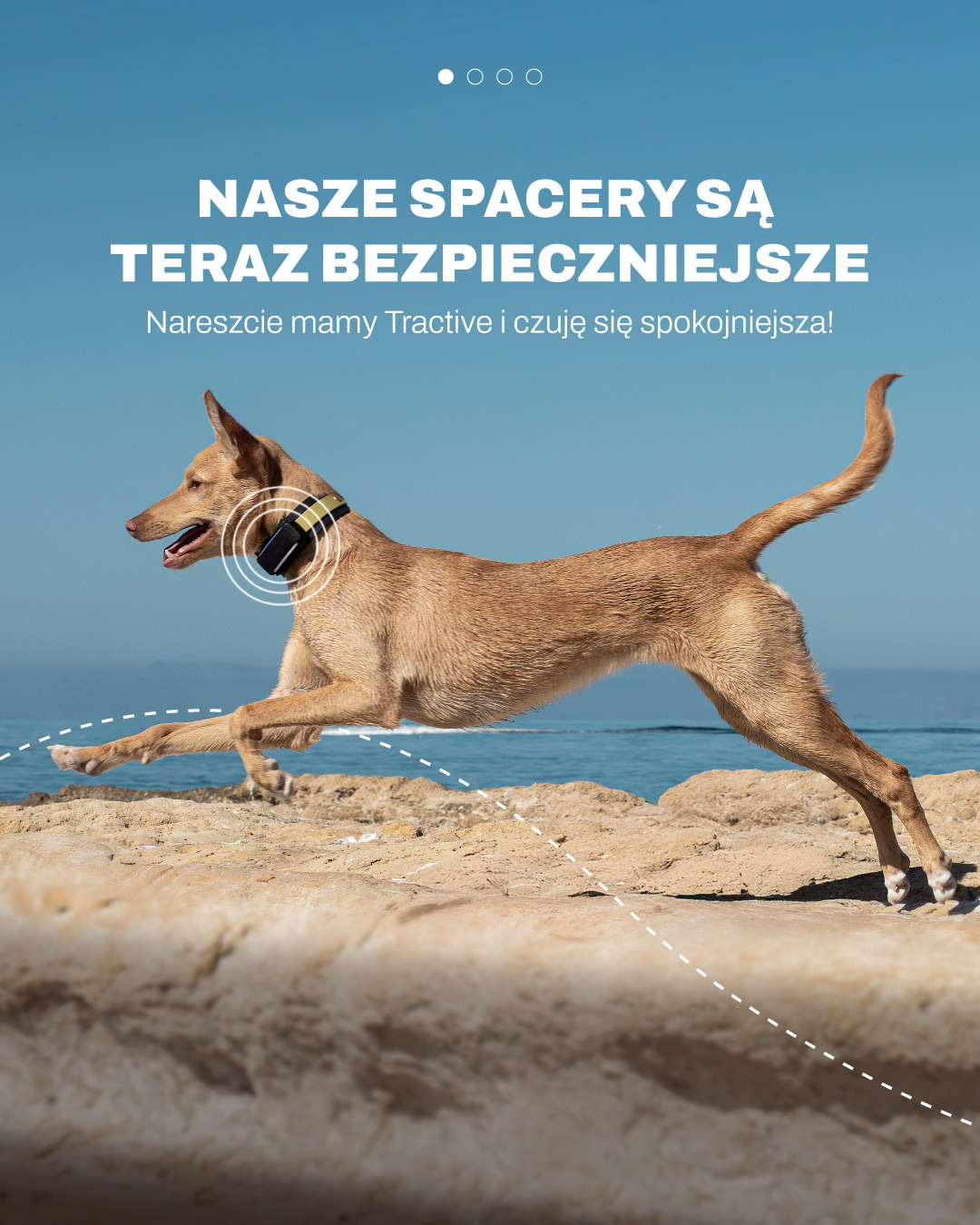 laki_podenco Facebook ad