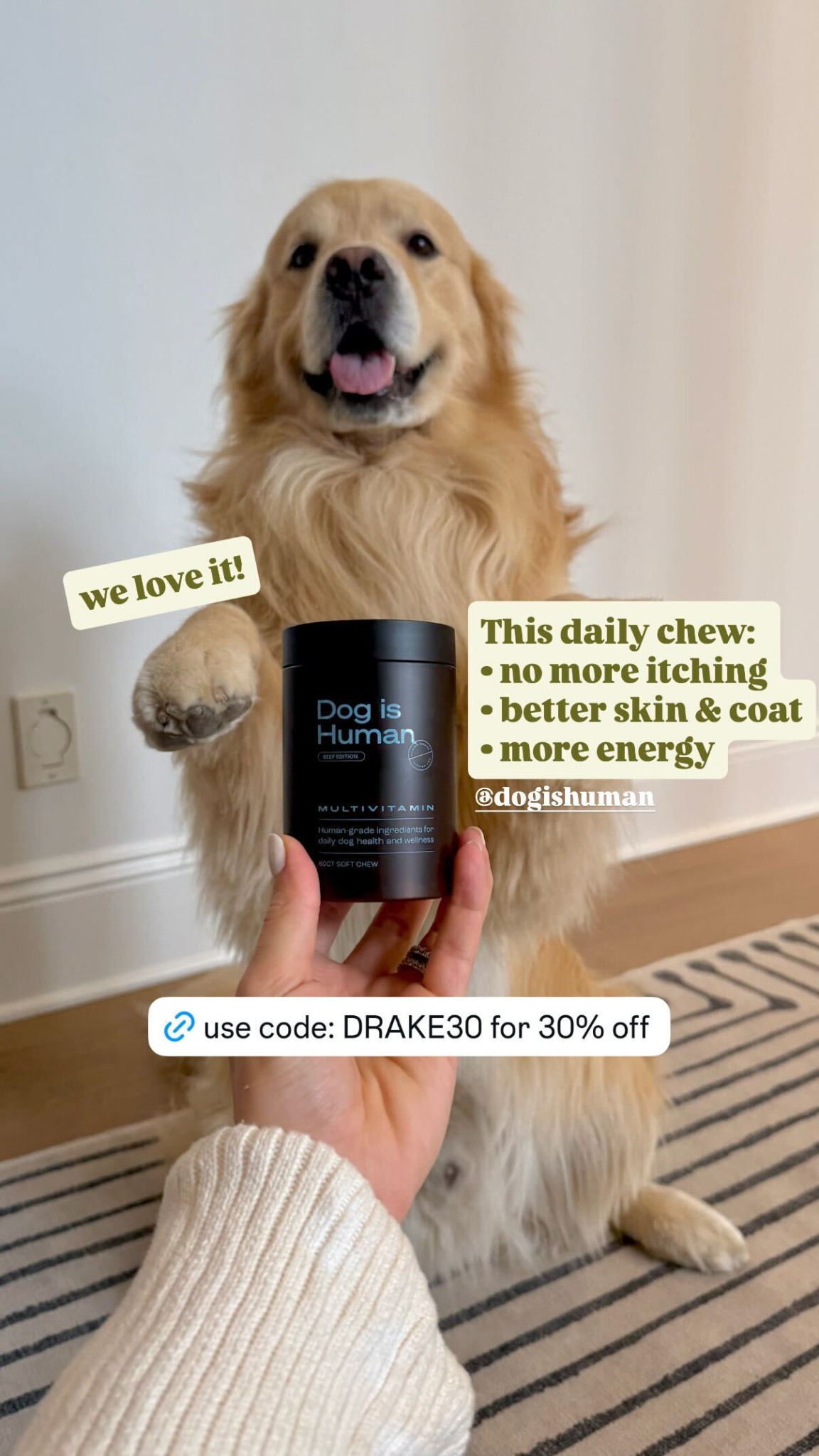 Dog is Human Facebook ad