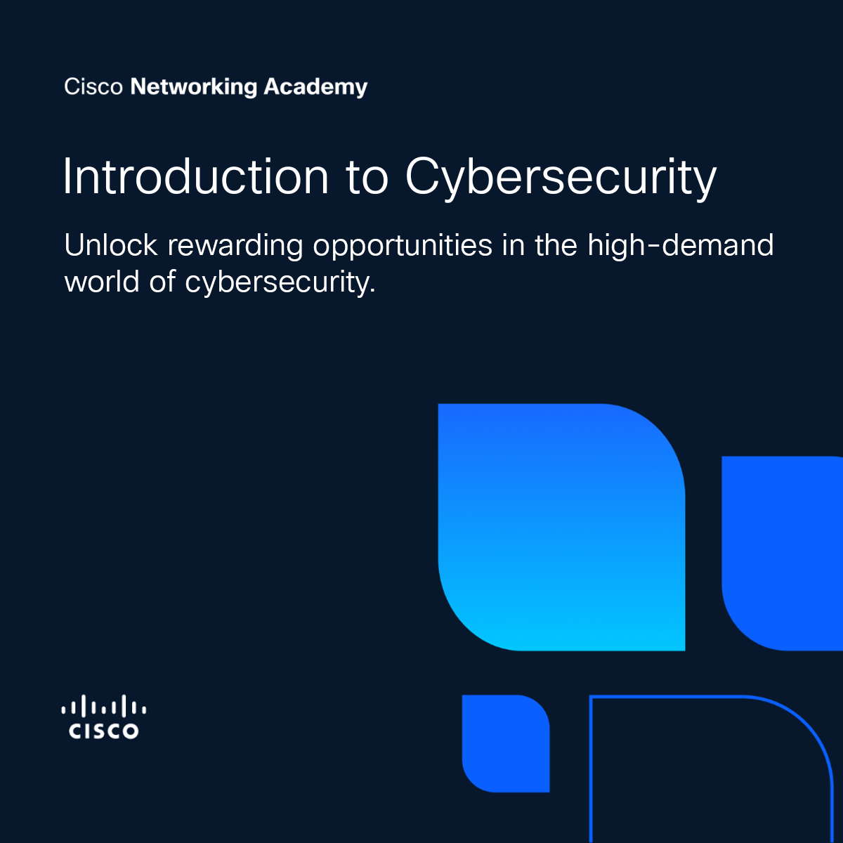 Cisco Networking Academy Facebook ad