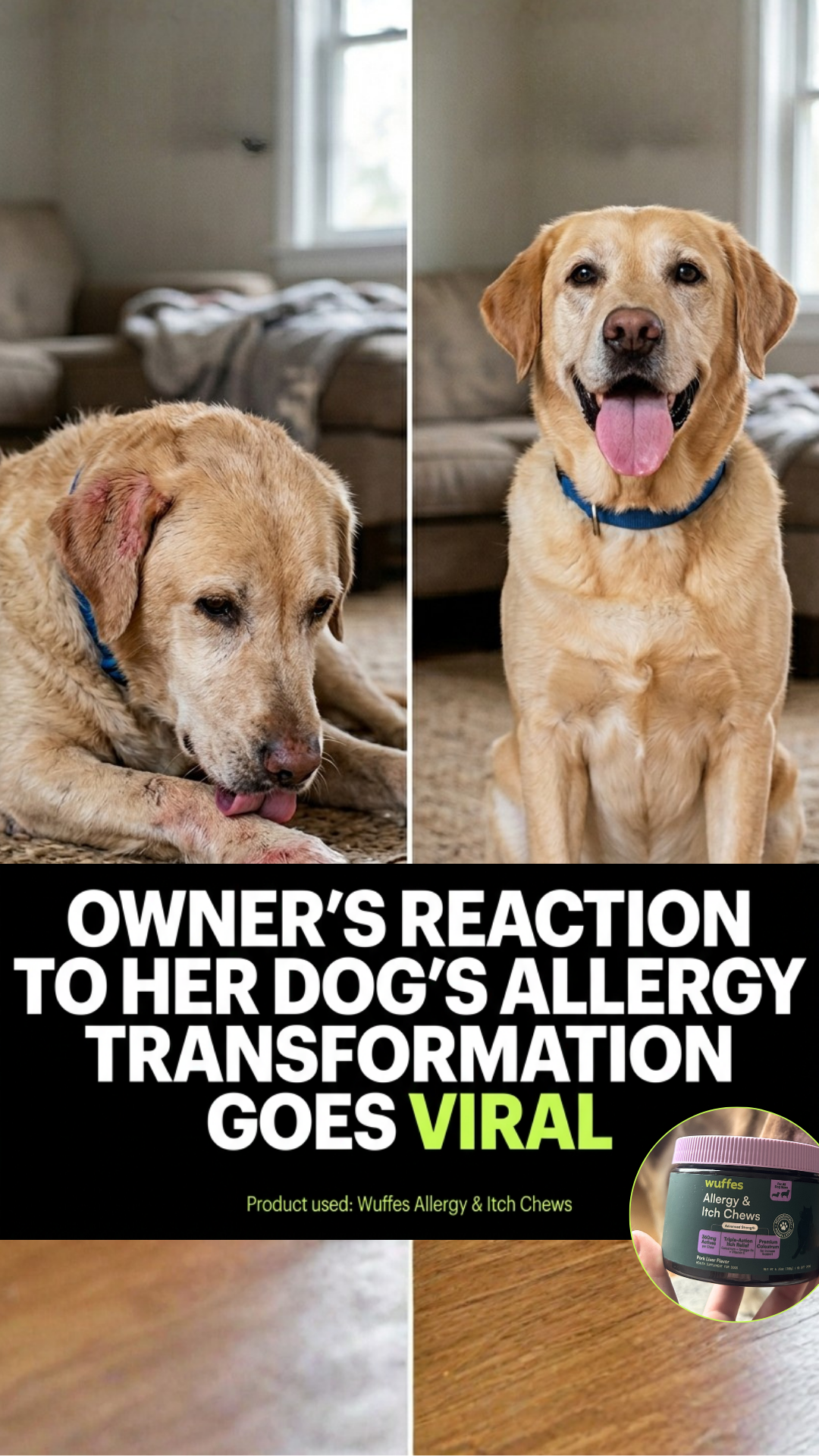 Everyday Pet Health Facebook ad
