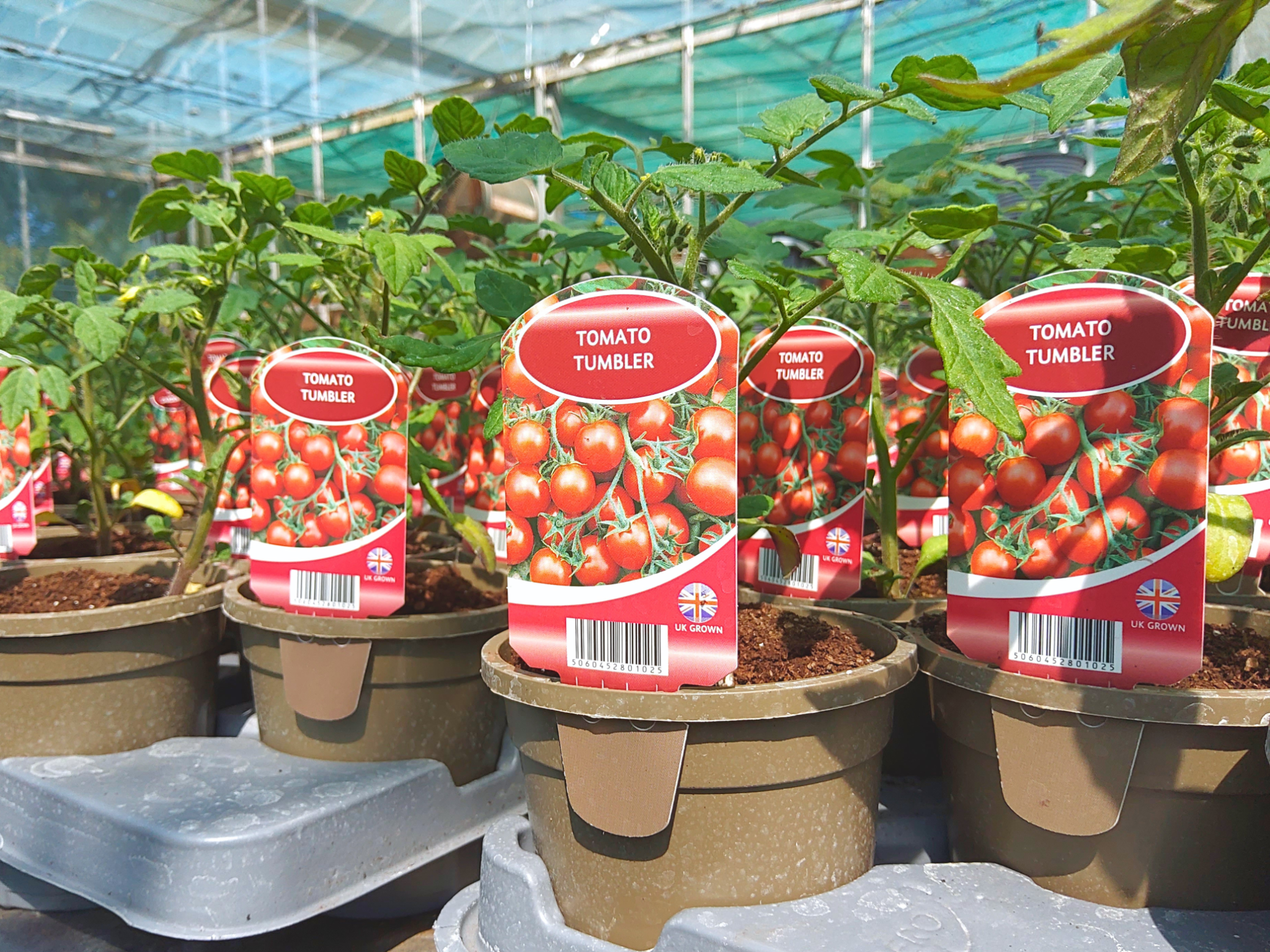 Hillside Farm Nursery & Garden Centre Facebook ad: Nothing beats the taste of home-grown veg.