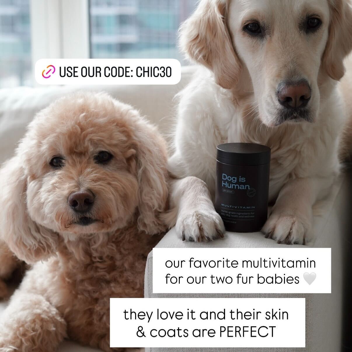 Chic City Sisters Facebook ad from Feb 19, 2026