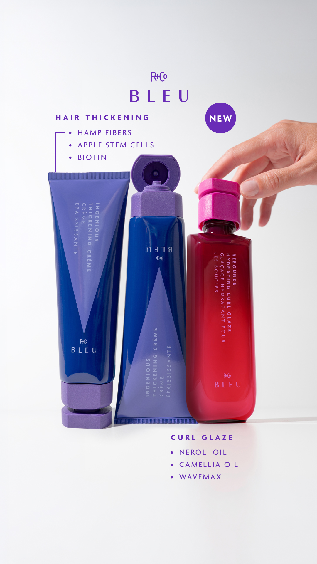R+Co Facebook ad from Aug 13, 2026
