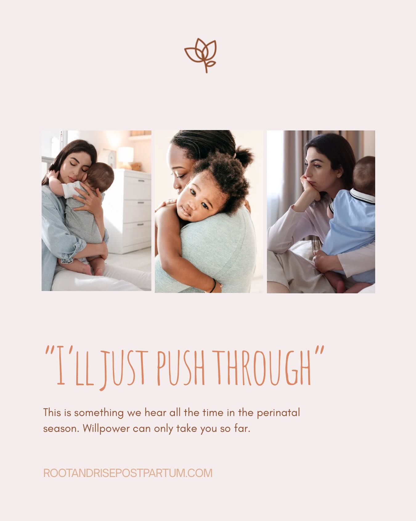 Root & Rise Perinatal Health Facebook ad