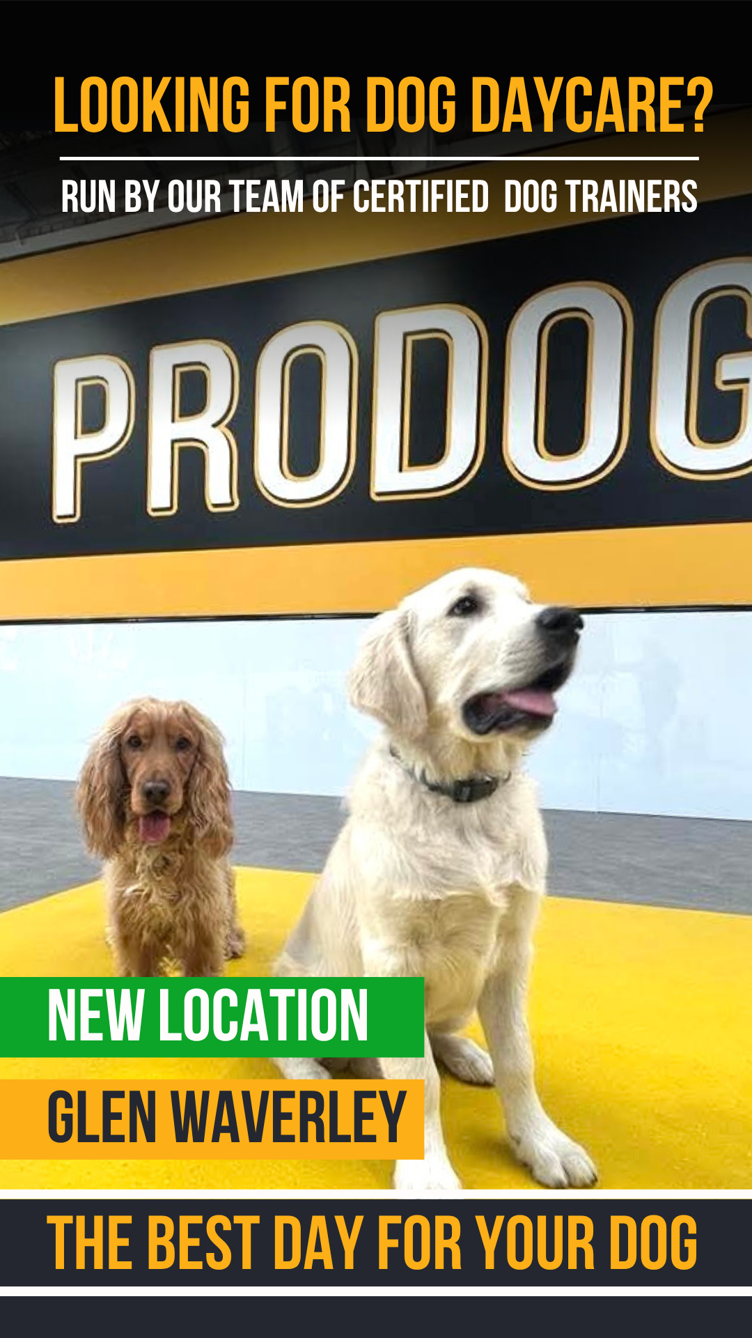 Pro Dog Training Facebook ad