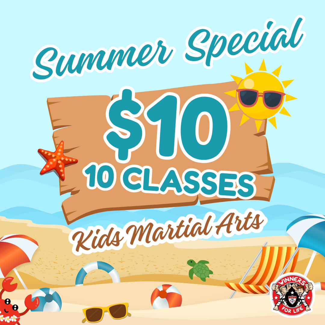 Winners for Life Martial Arts Ballantyne Facebook ad: Confidence & Fun, Only $10!