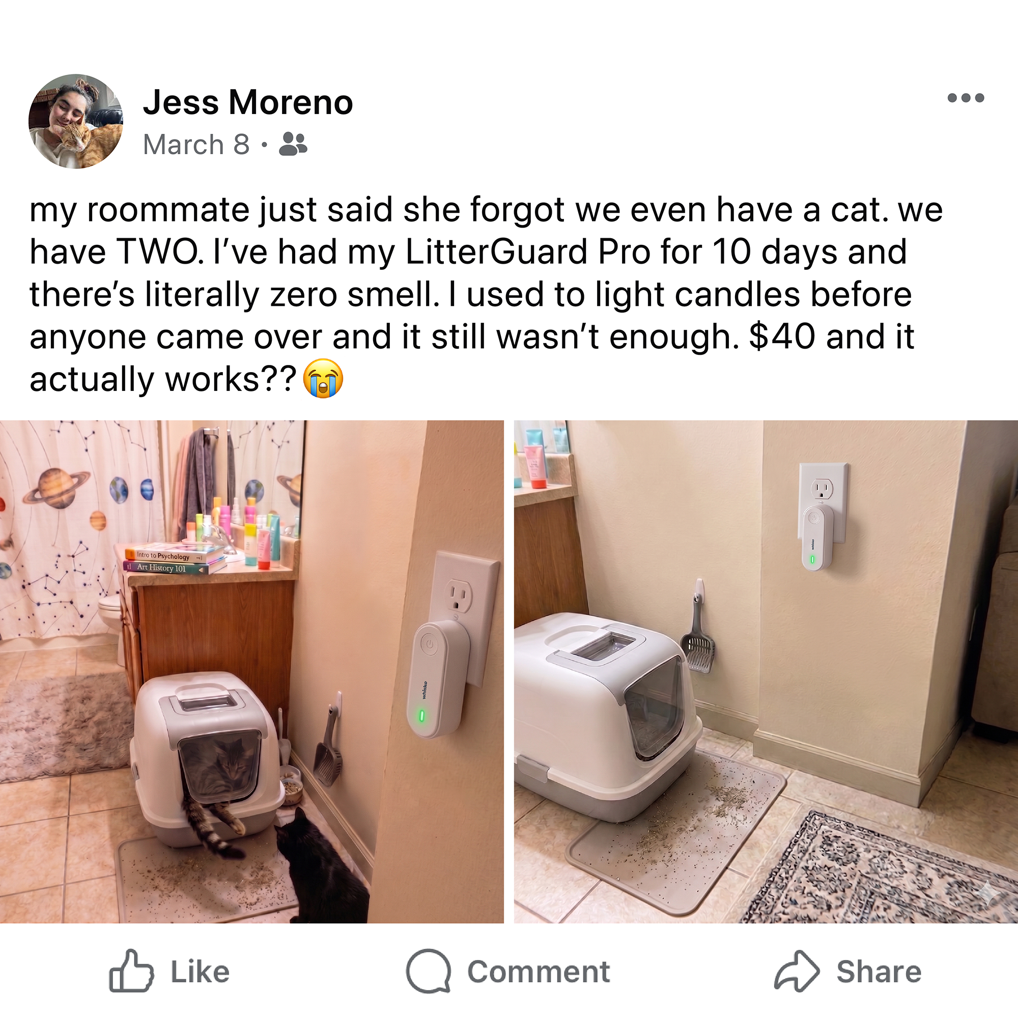 Cat Tips Daily Facebook ad