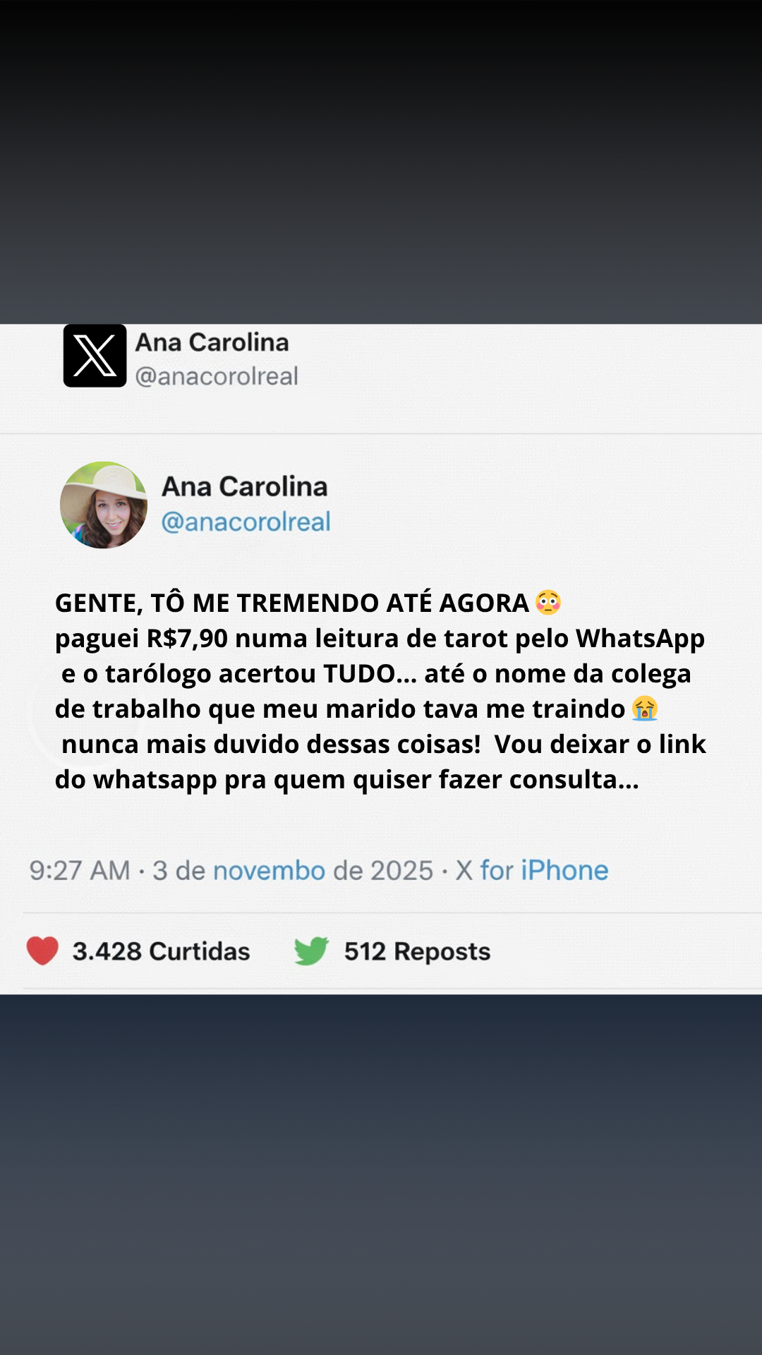 Seu Luiz Felipe Facebook ad from Nov 13, 2025
