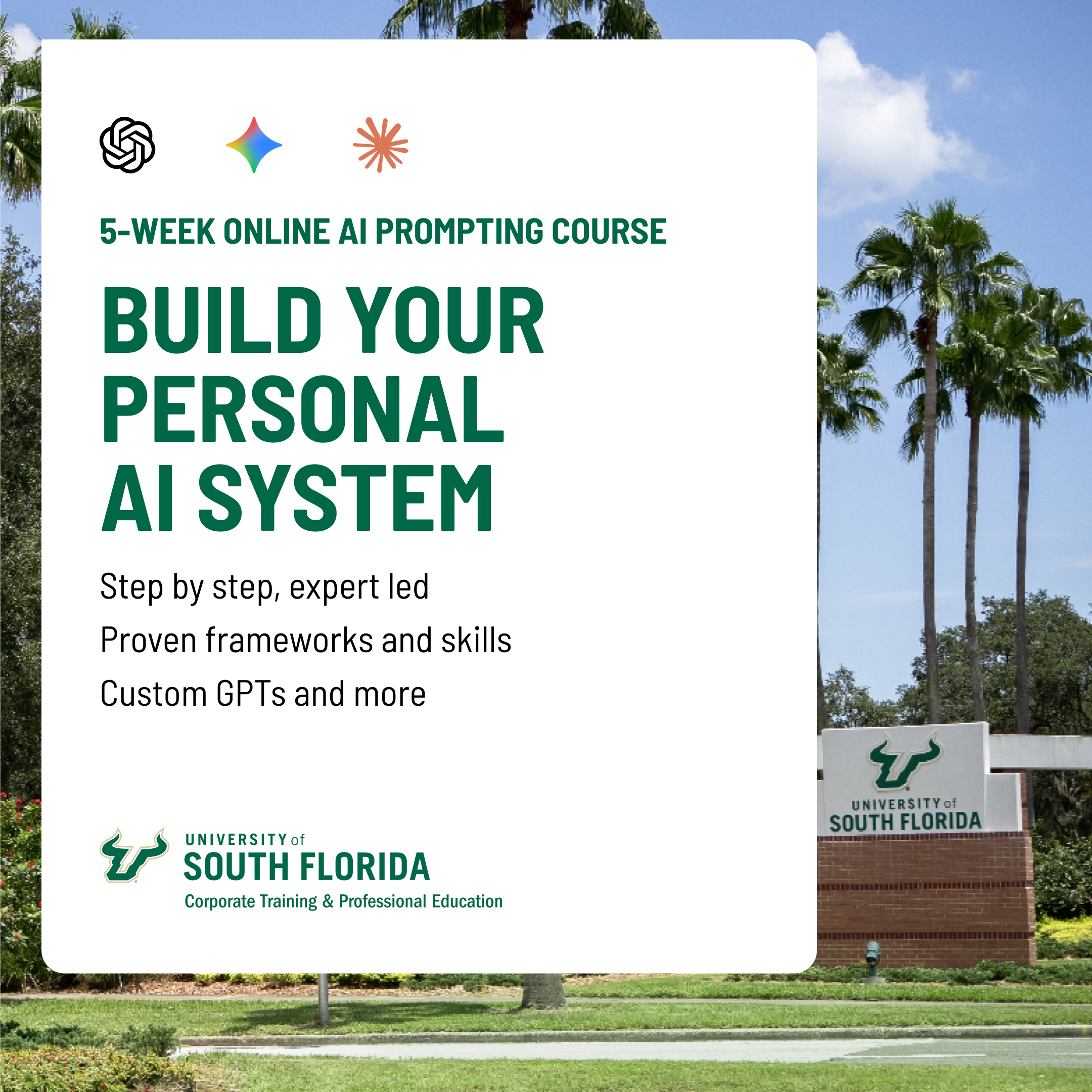 USF Corporate Training and Professional Education Online Certificates Facebook ad