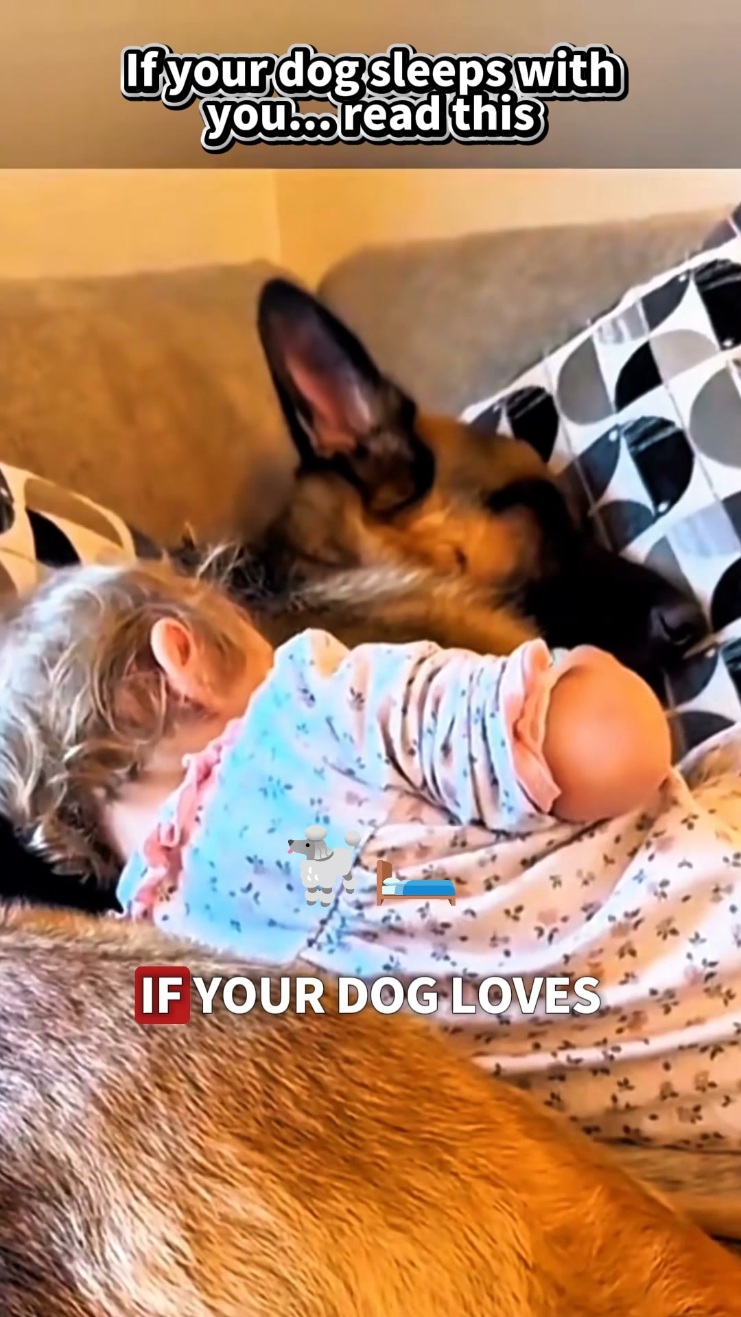 Puainta Pets Facebook ad: Simple Support for Skin Comfort