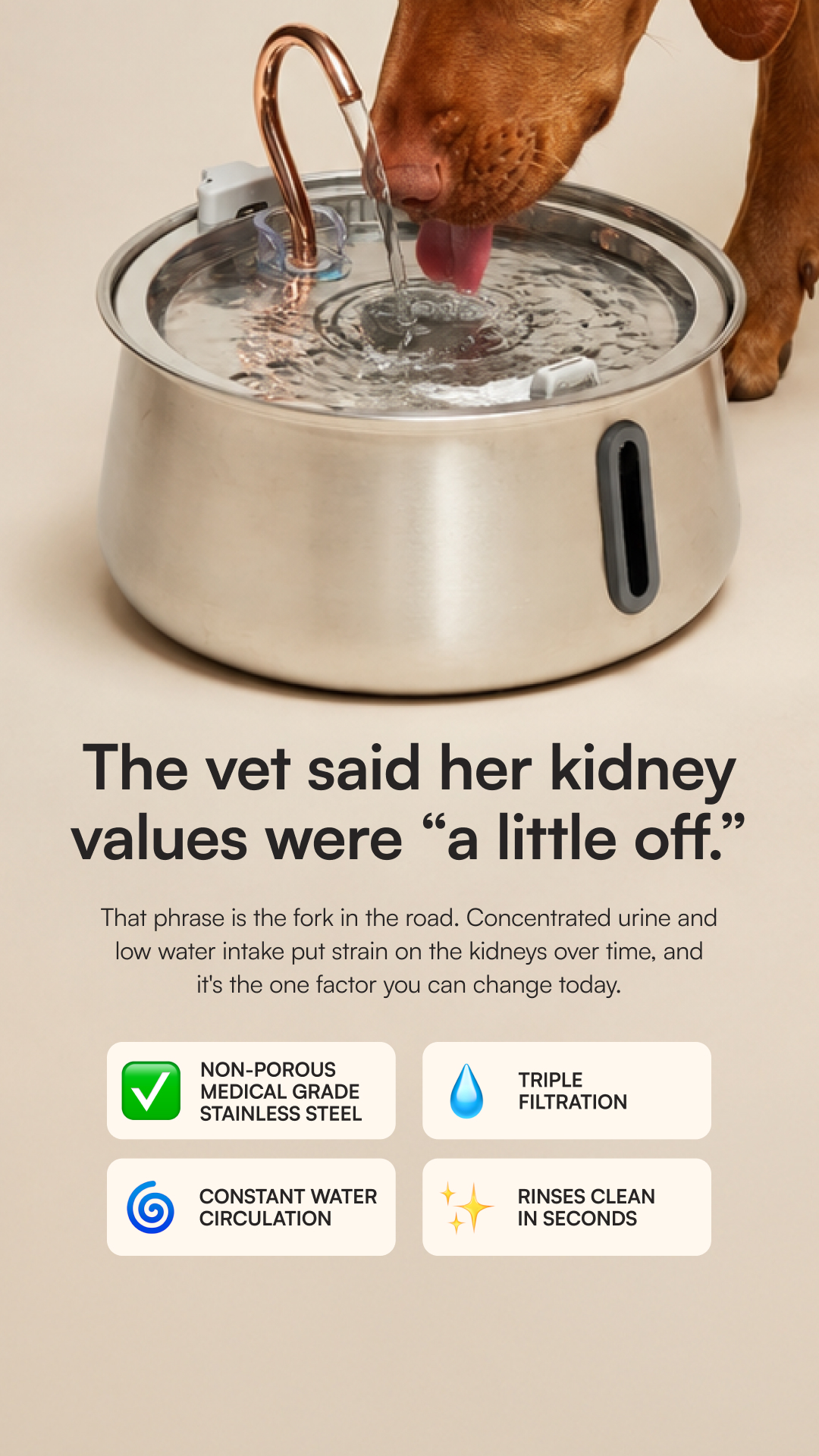 Rhykin Pet Co Facebook ad