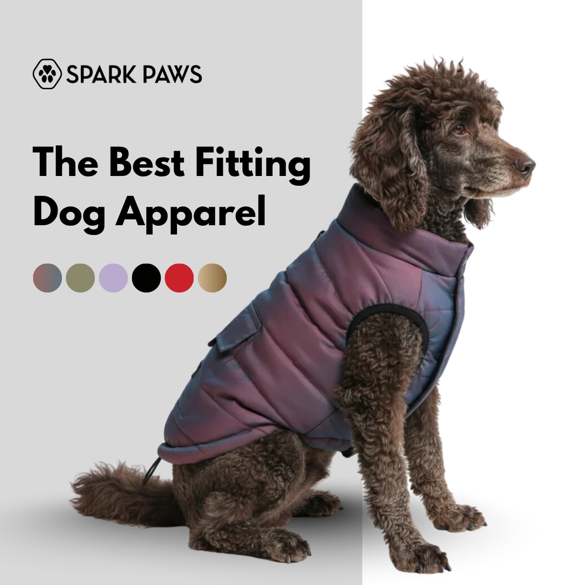 Spark Paws Facebook ad