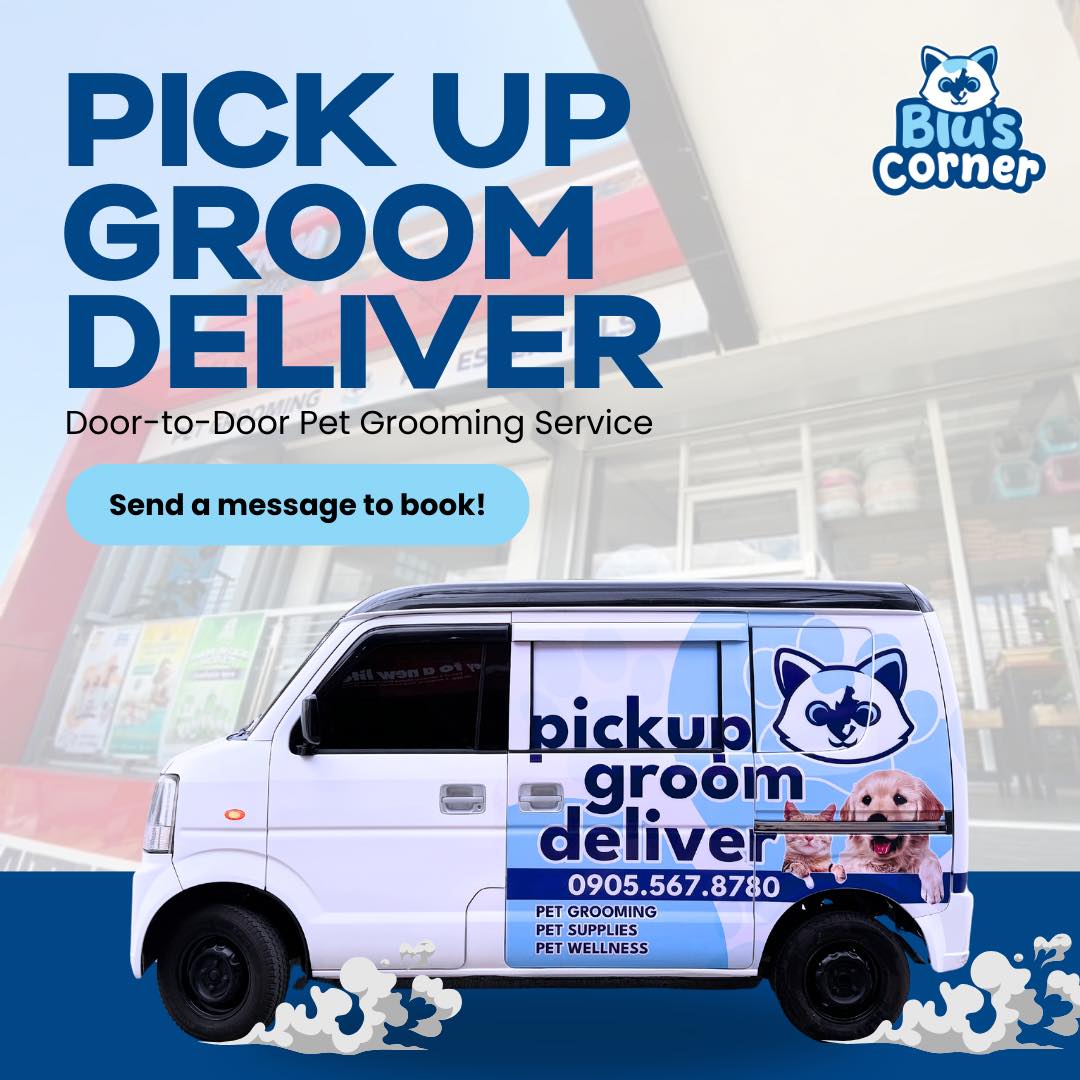 Blu’s Corner - Pet Grooming - Bauan Facebook ad: Busy? Blu’s Corner na ang bahala!