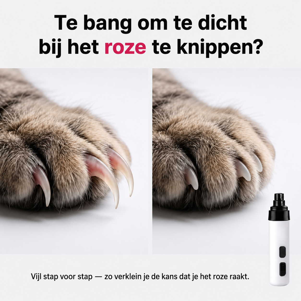 Elvori Facebook ad: 50% Korting | Alleen vandaag