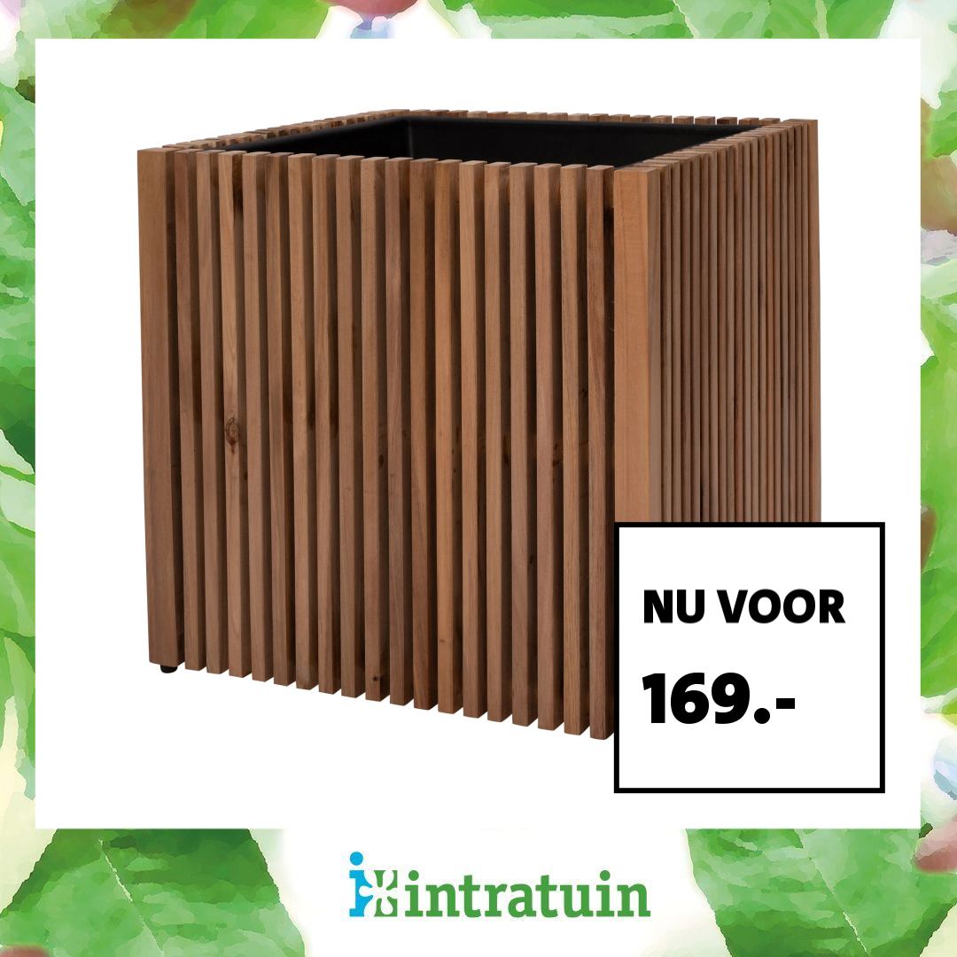 Intratuin Facebook ad