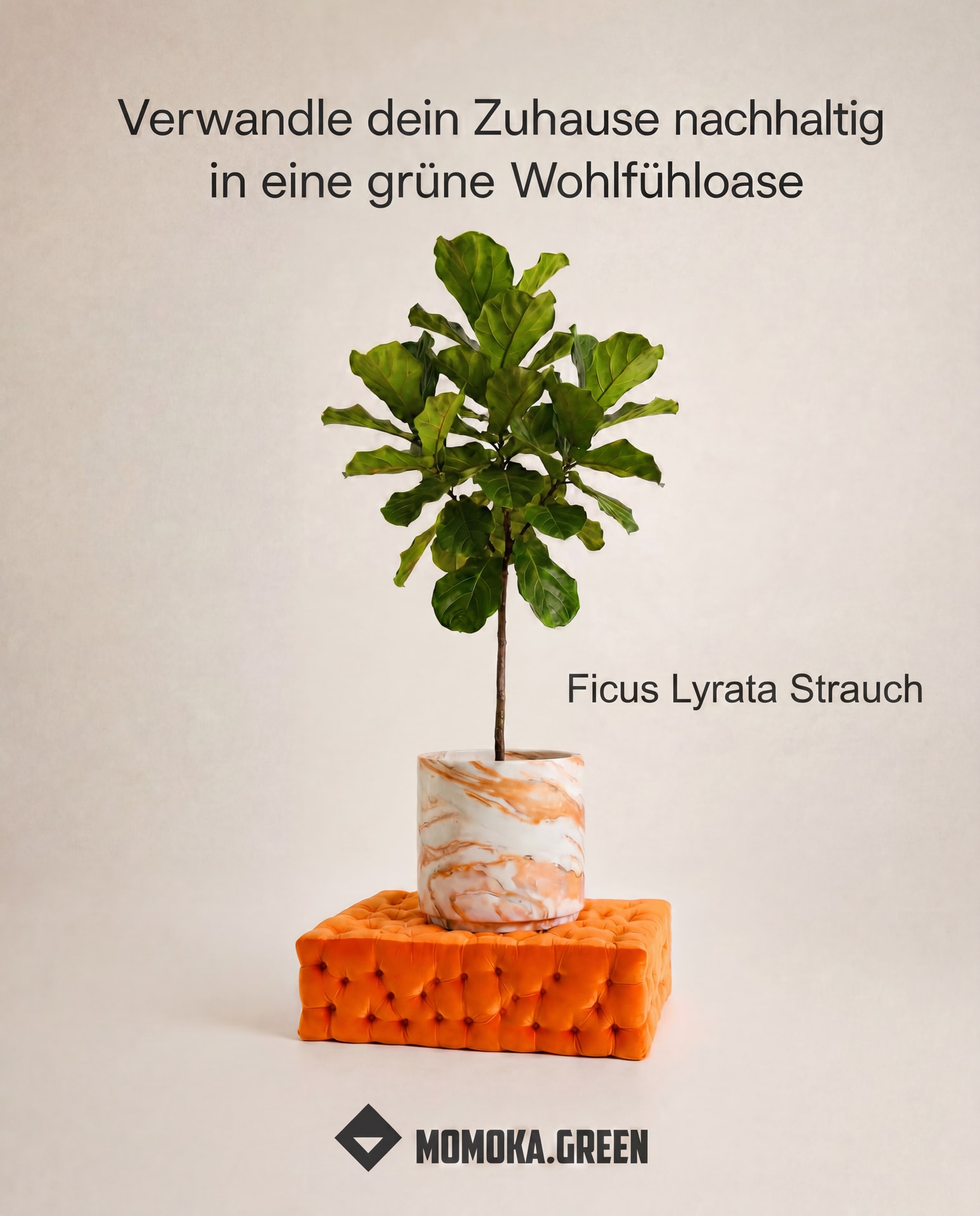 Momoka Green Facebook ad: Deine nachhaltige Pflanzenoase