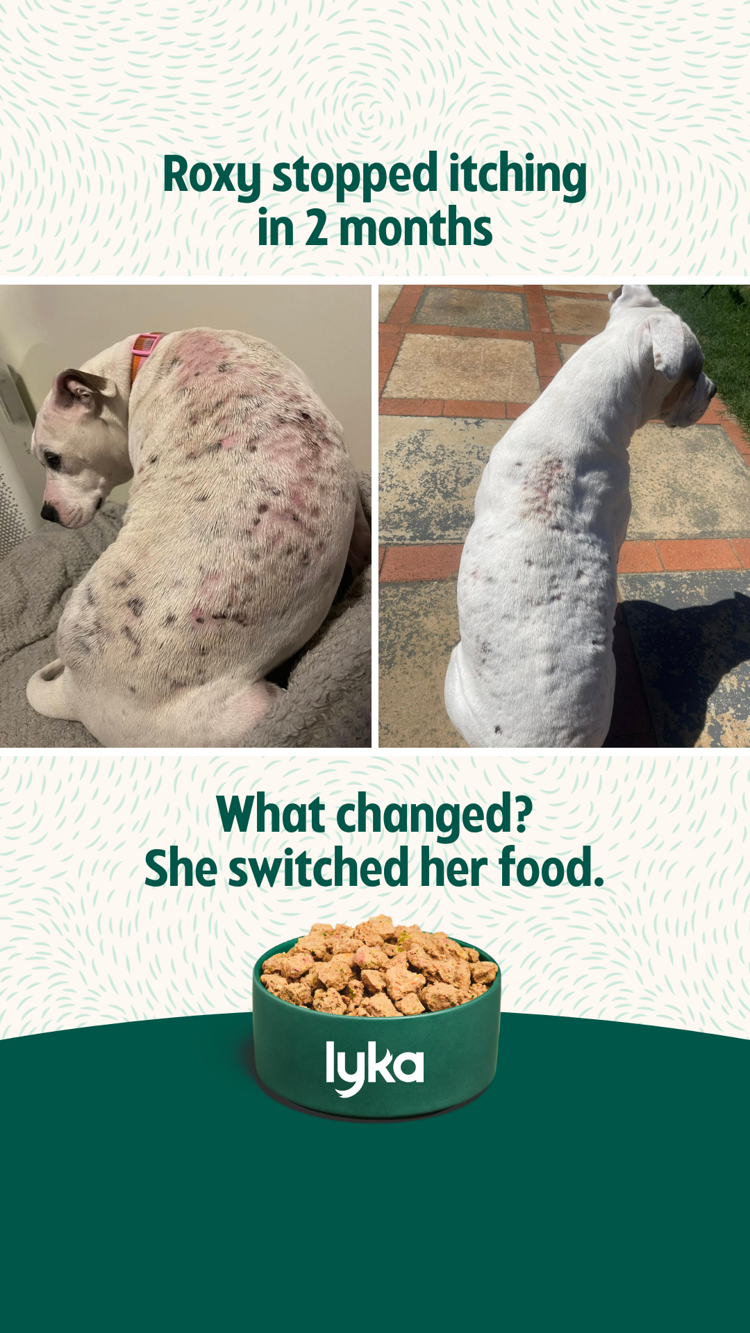 Lyka Pet Food Facebook ad
