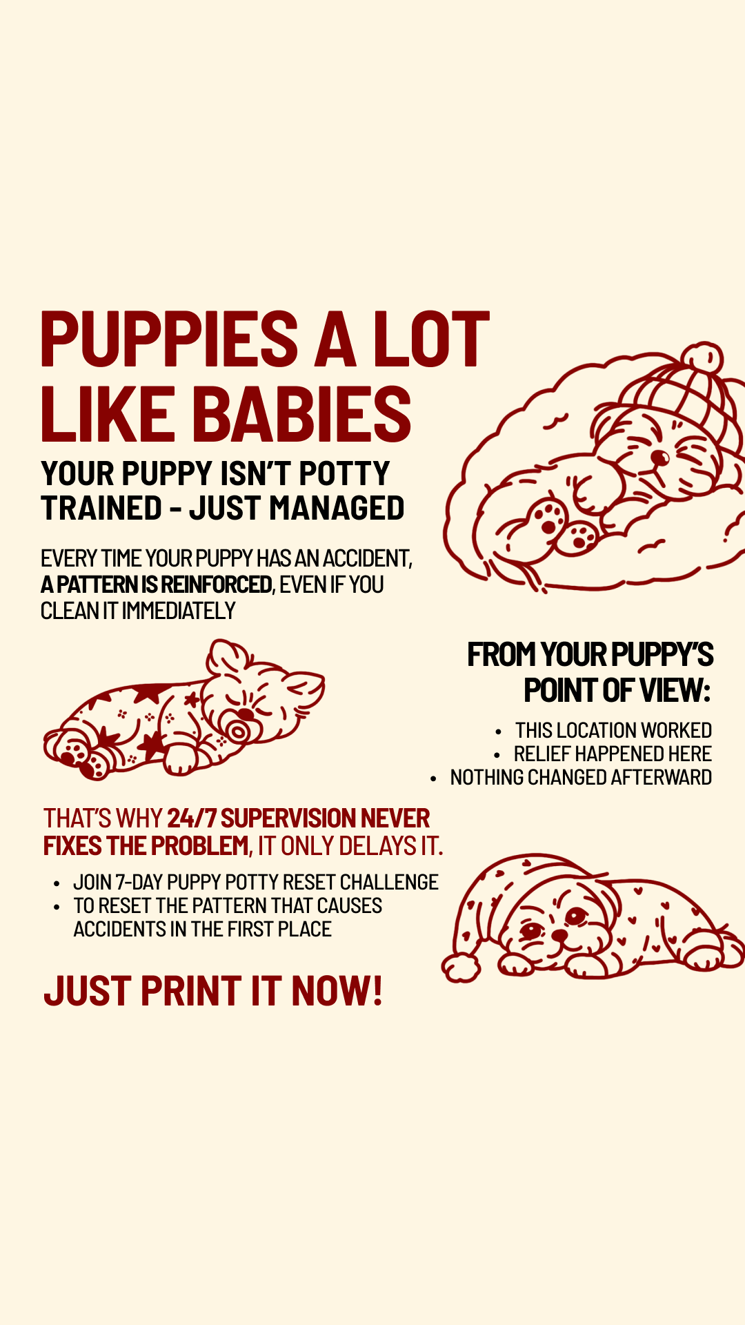Woofz - Puppy Training Facebook ad