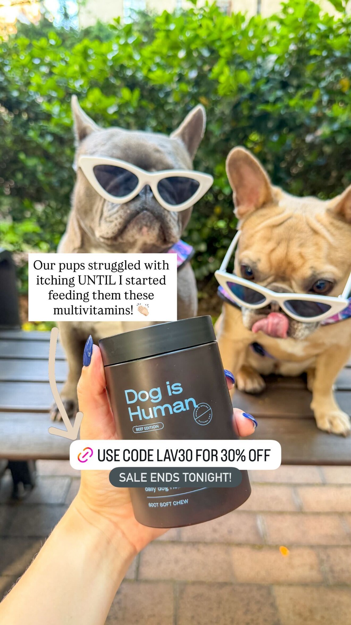 Dog is Human Facebook ad